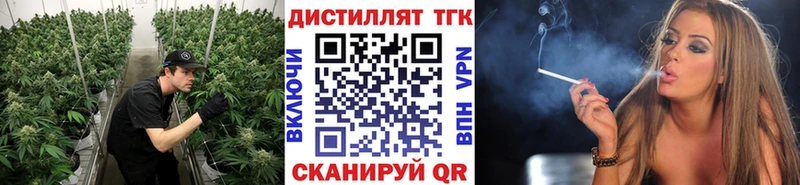 ТГК Wax  Тогучин 